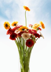 Flowers in Vase